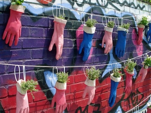 Urban gardening 3